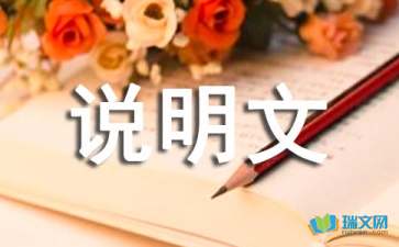 灯说明文作文400字五篇