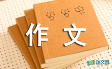 【推荐】历险作文500字3篇