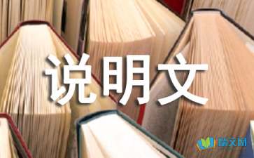 灯说明文作文600字三篇