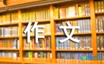 以魅力为话题的作文700字（通用17篇）