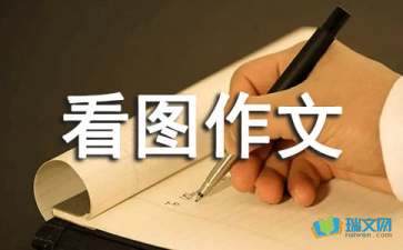 看图作文600字汇总六篇