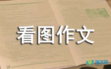 【必备】看图作文300字集锦六篇