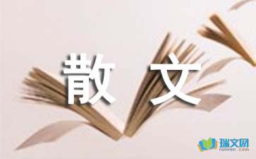 实用的散文作文300字汇编6篇