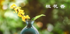 散文篇：桂花香